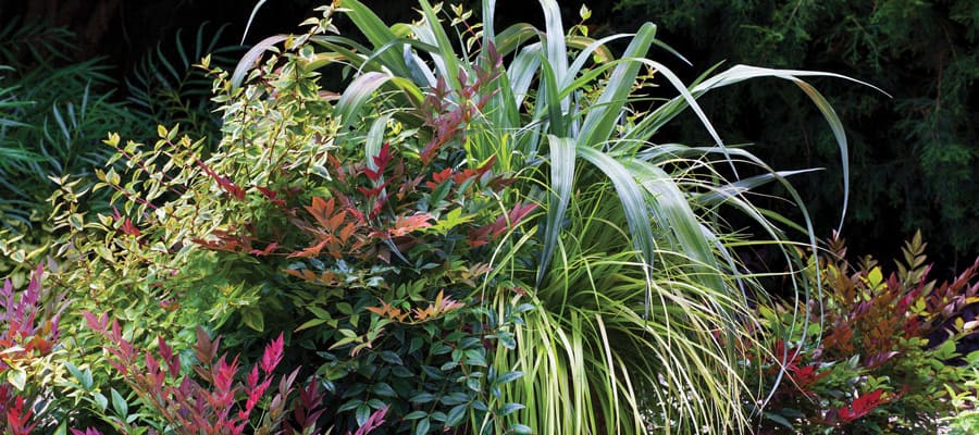 container trio water-wise garden