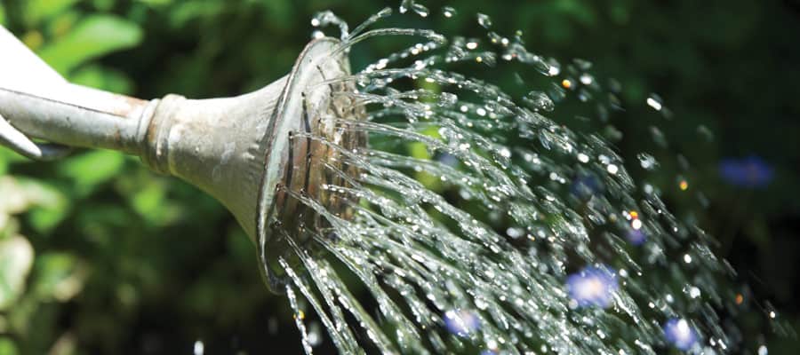 watering can water